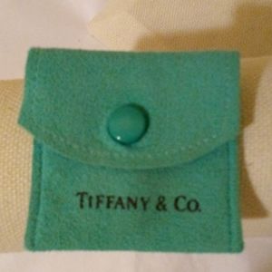 Blue button snap Jewelry pouch